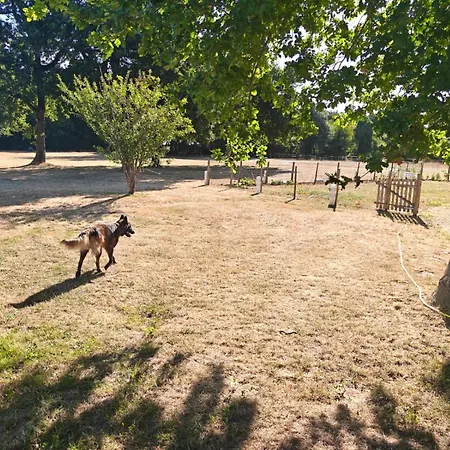 Dogfriendly Semesterbostad Echillais