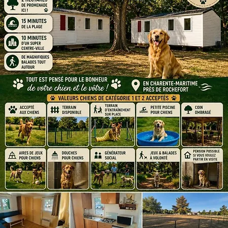 Semesterbostad Dogfriendly