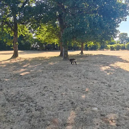 Dogfriendly Echillais