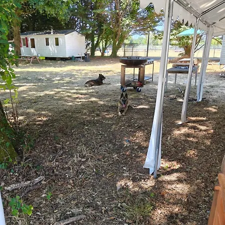 Semesterbostad Dogfriendly