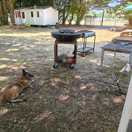 Semesterbostad Dogfriendly *