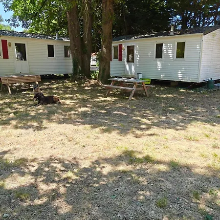 Dogfriendly Echillais